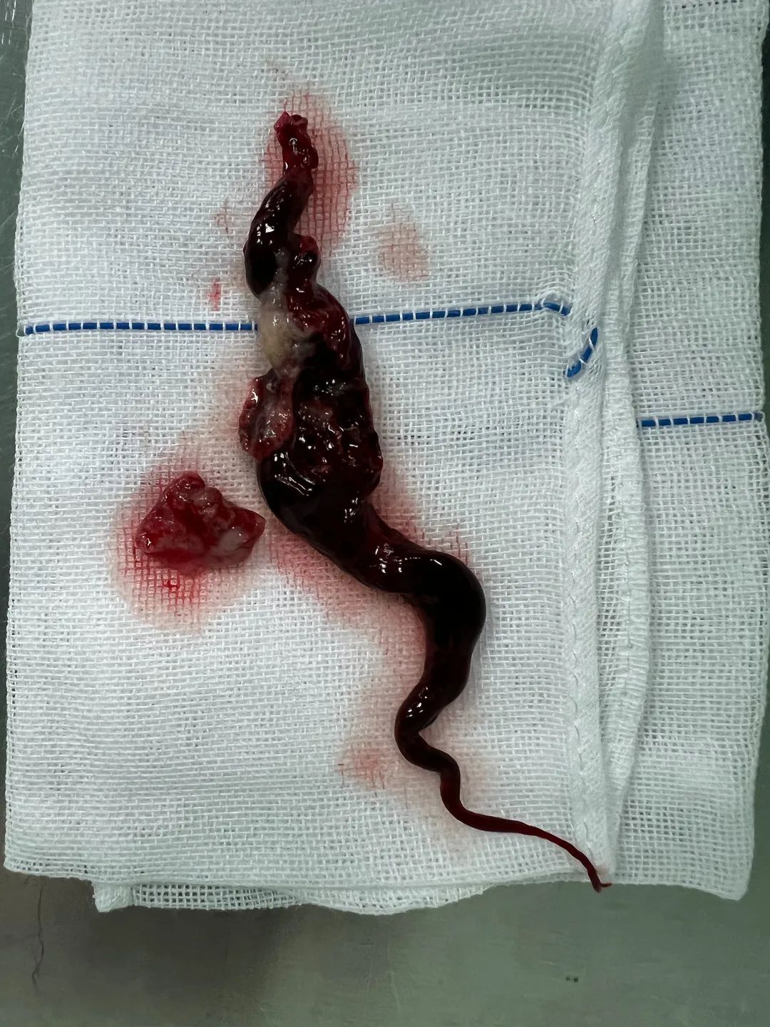 微信圖片_20220414095950.jpg 圖片