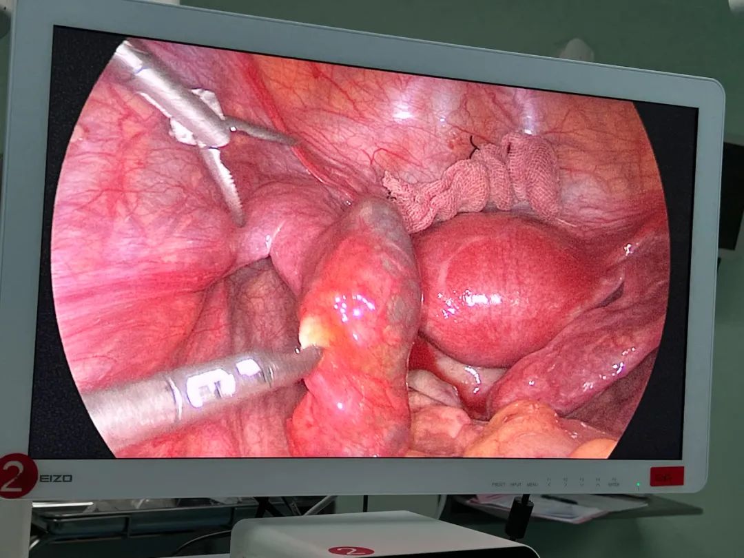 微信圖片_20220324105004.png 圖片