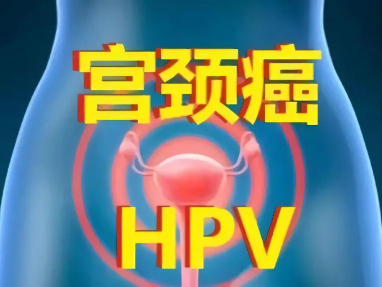 7a0810a65da585dd00771c75b6102ae2.jpeg 圖片